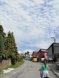 Nižná