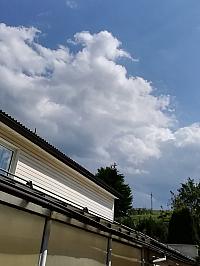 Nižná