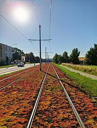 Olomouc Nová ulice