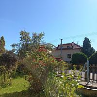 Třibřichy