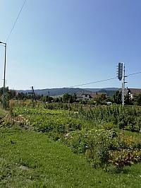 Nižná