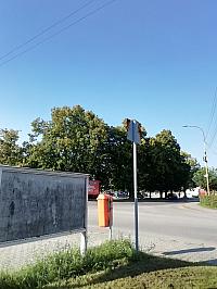 Nižná