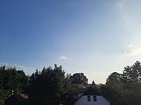 Olešná