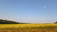Lukovany