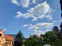 Olešná