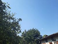 Olešná