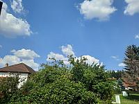 Olešná
