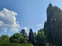 Olešná