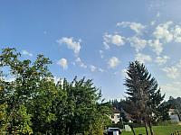 Olešná