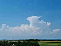 Odrovice