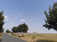 Rousínov