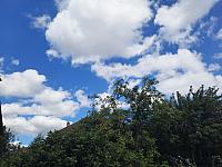 Olešná