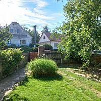 Třibřichy