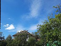 Olešná