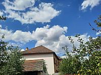 Olešná