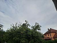 Olešná