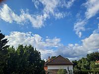 Olešná