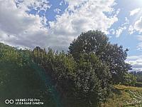 Holčovice
