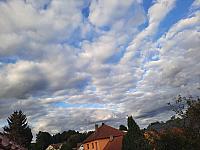 Olešná