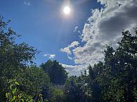 Olešná
