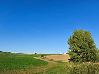 Lukovany