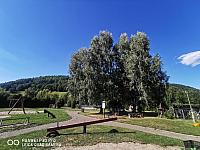 Holčovice
