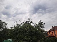Olešná