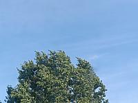 Olomouc-Lazce