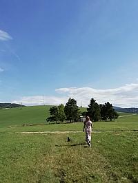 Nižná