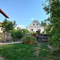 Třibřichy