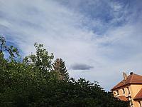 Olešná