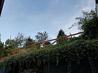 Nižná