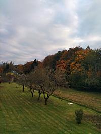 Hvozdnica