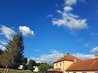 Olešná