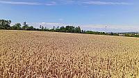 Třebíč-Borovina
