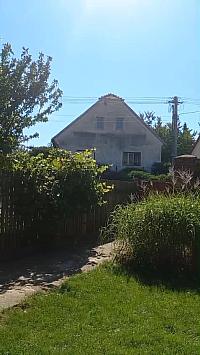 Třibřichy