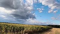 Lukovany