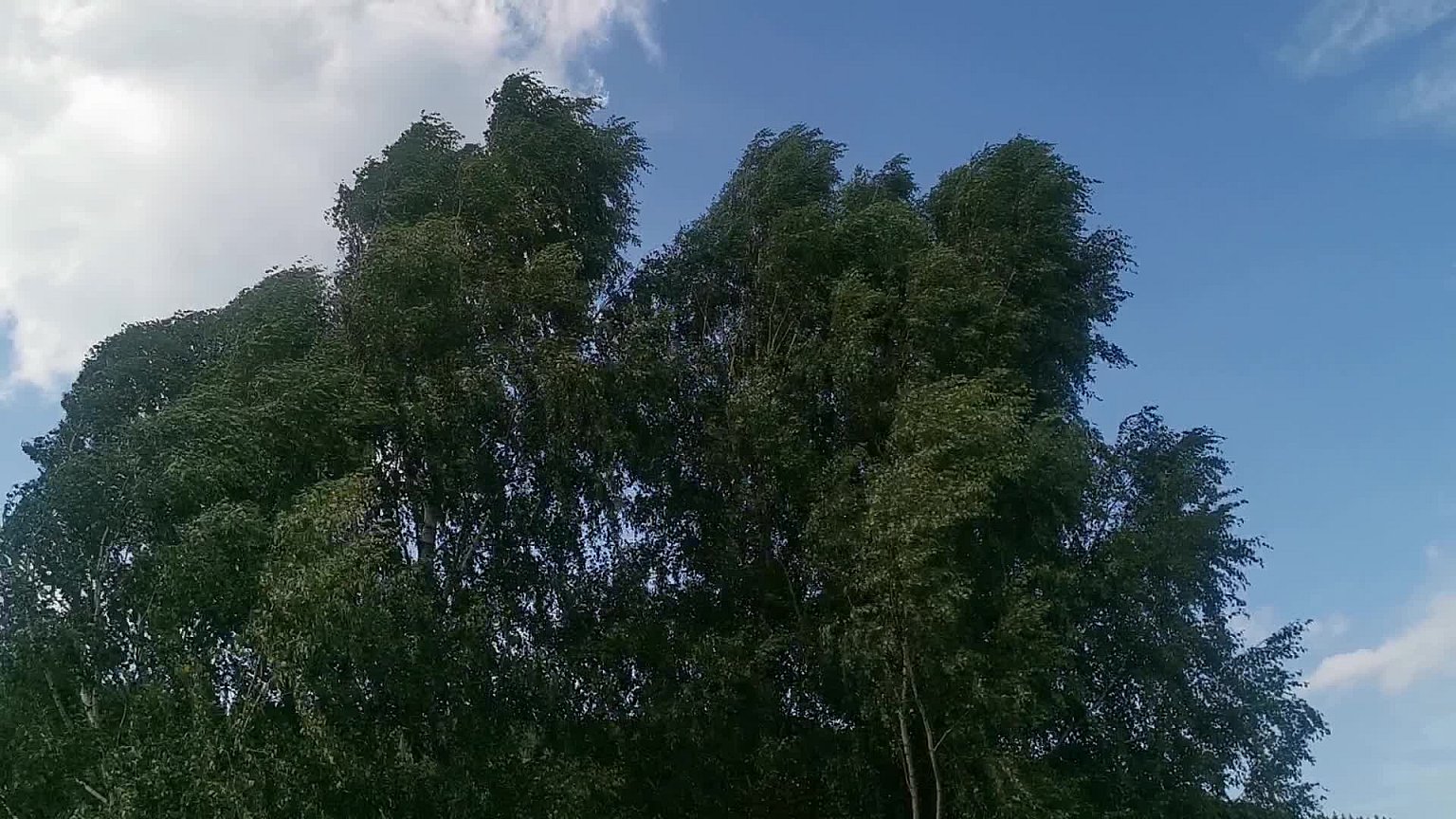 Holčovice