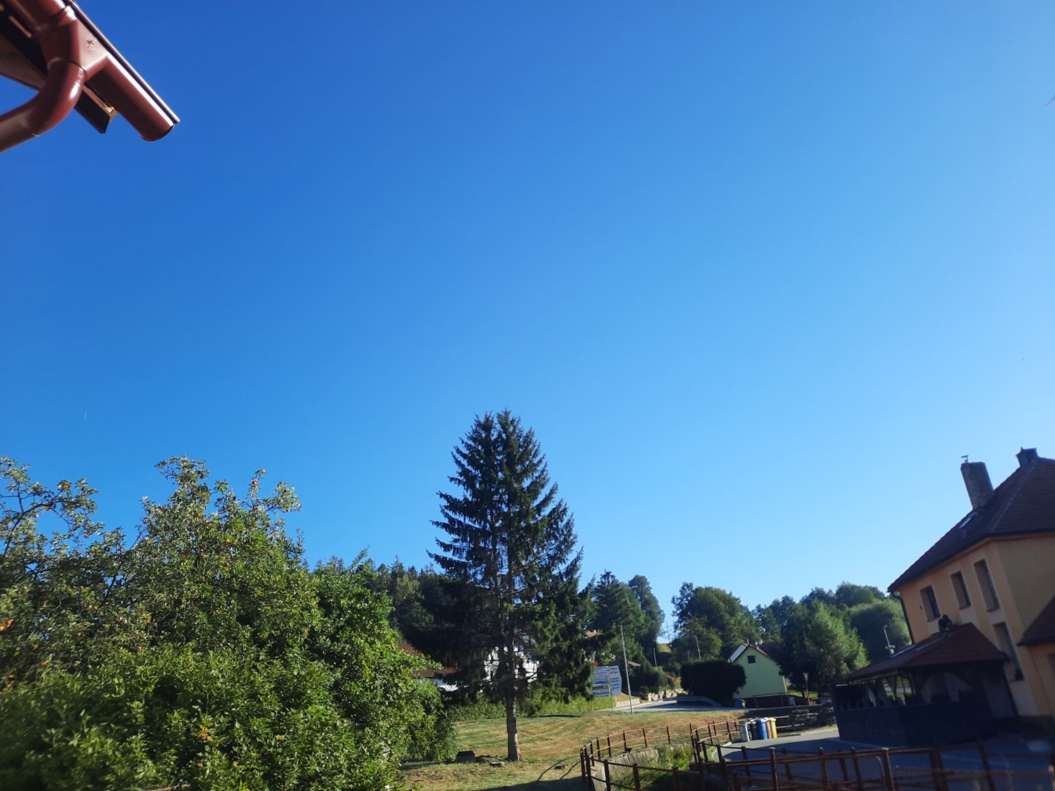 Olešná