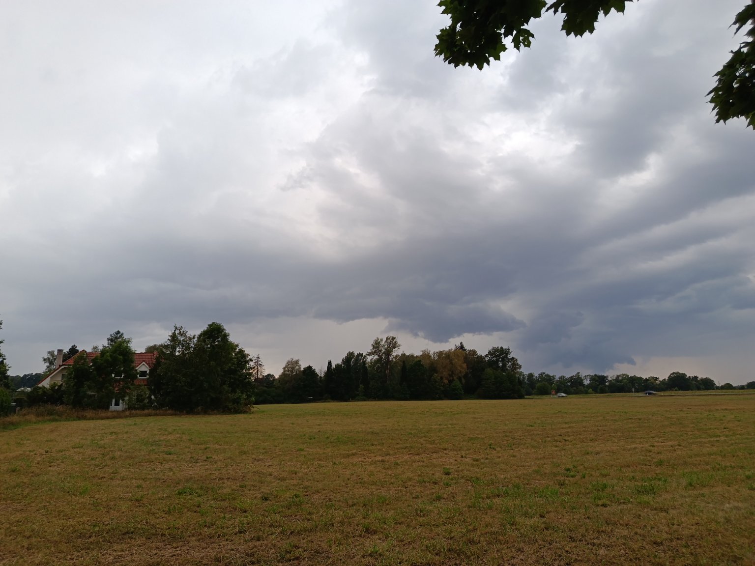 Kopřivnice, Vlčovice