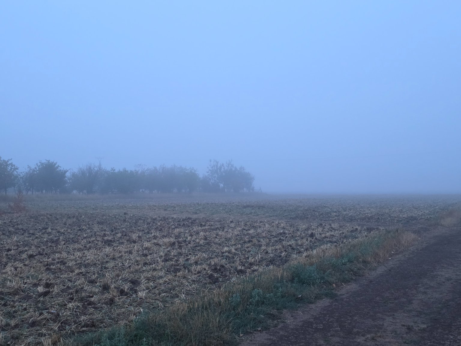 Odrovice