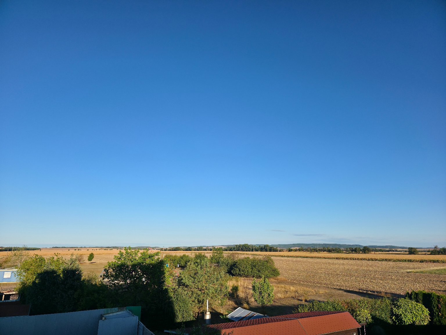 Odrovice
