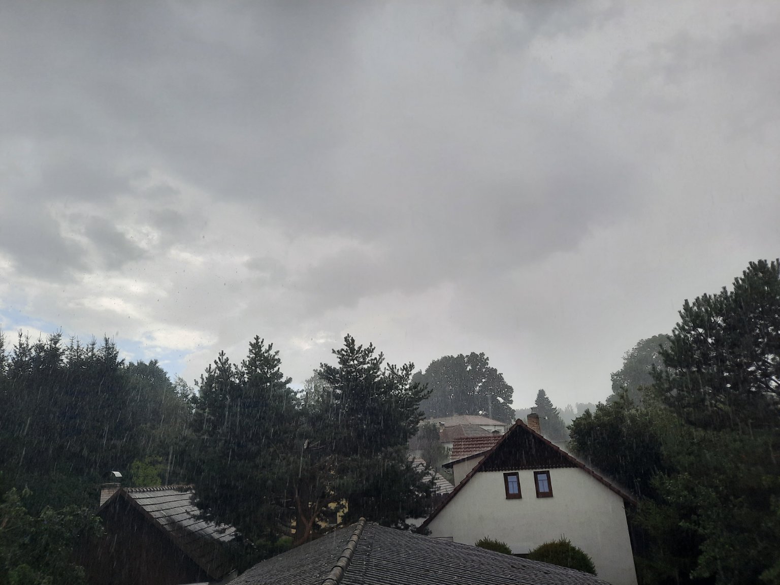 Olešná