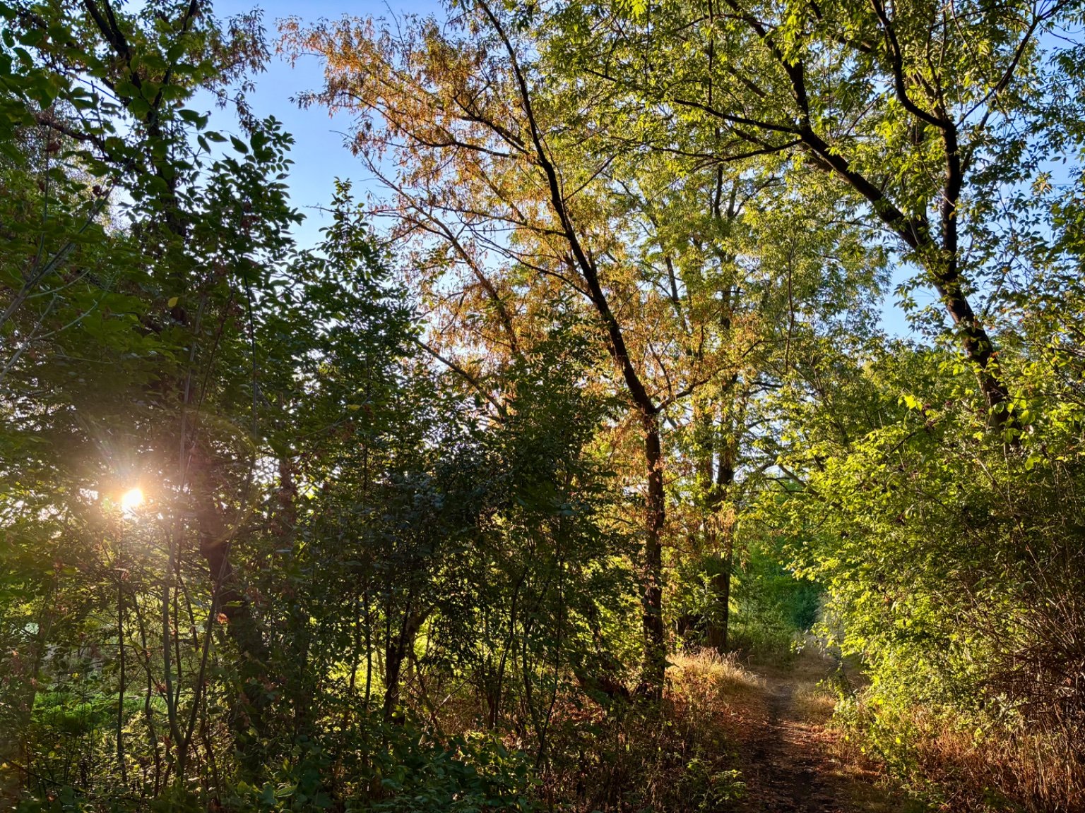 Hrnčiarovce nad Parnou