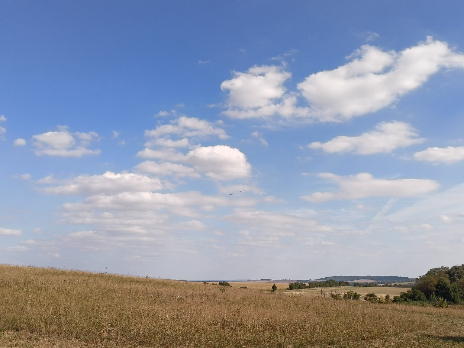 Habrovany