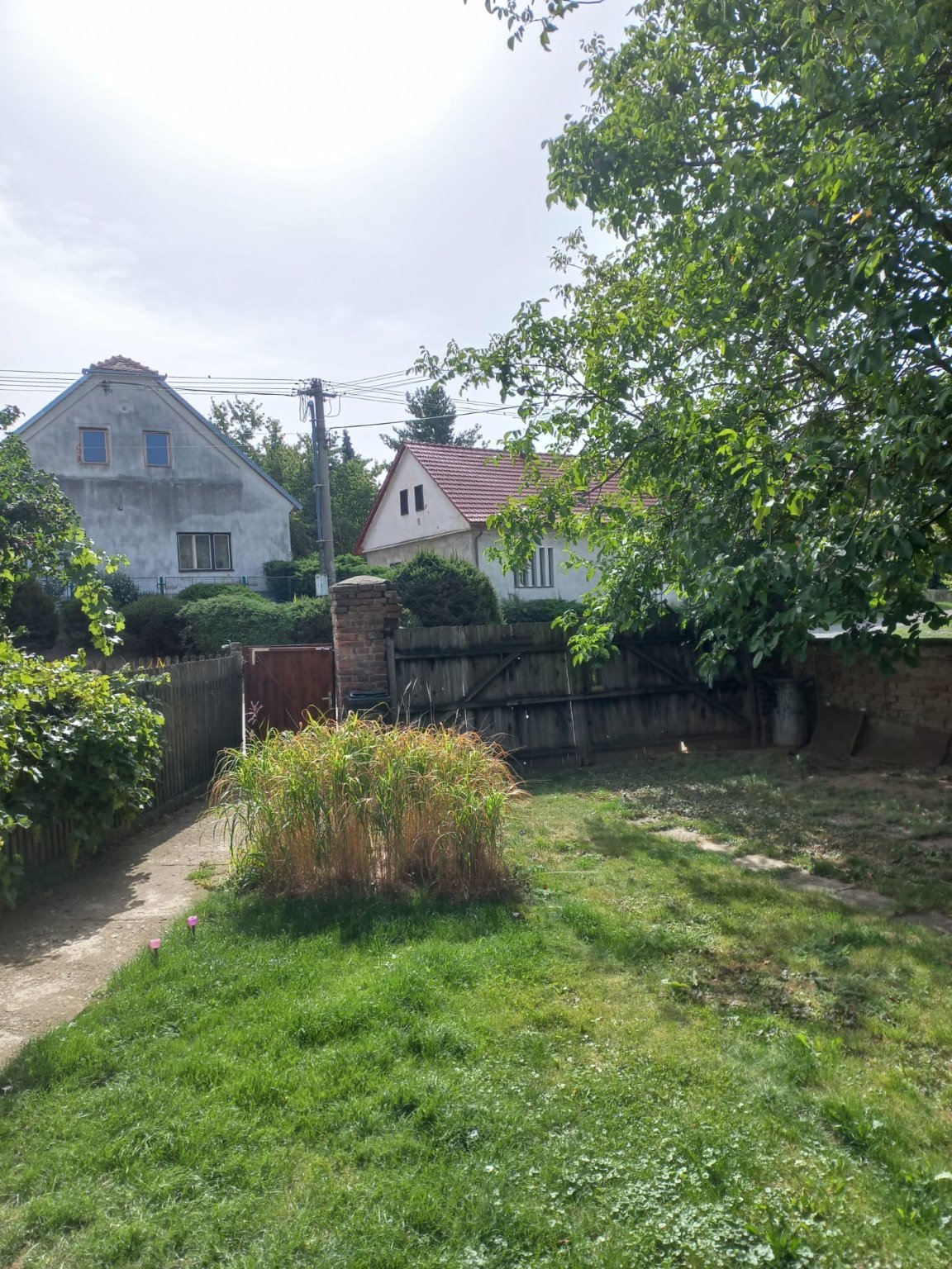 Třibřichy