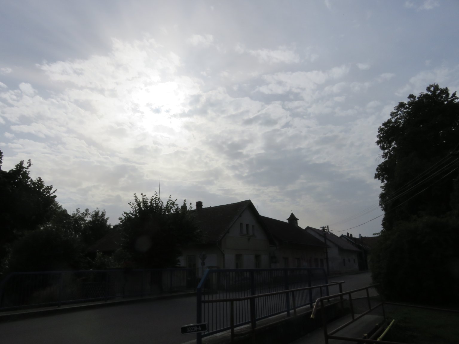 Třibřichy