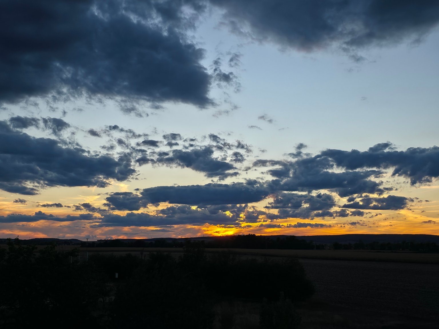 Odrovice