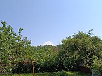 Kopřivnice, Vlčovice