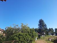 Olešná